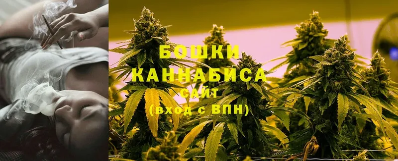 Каннабис LSD WEED  купить  цена  мега как войти  Алейск 